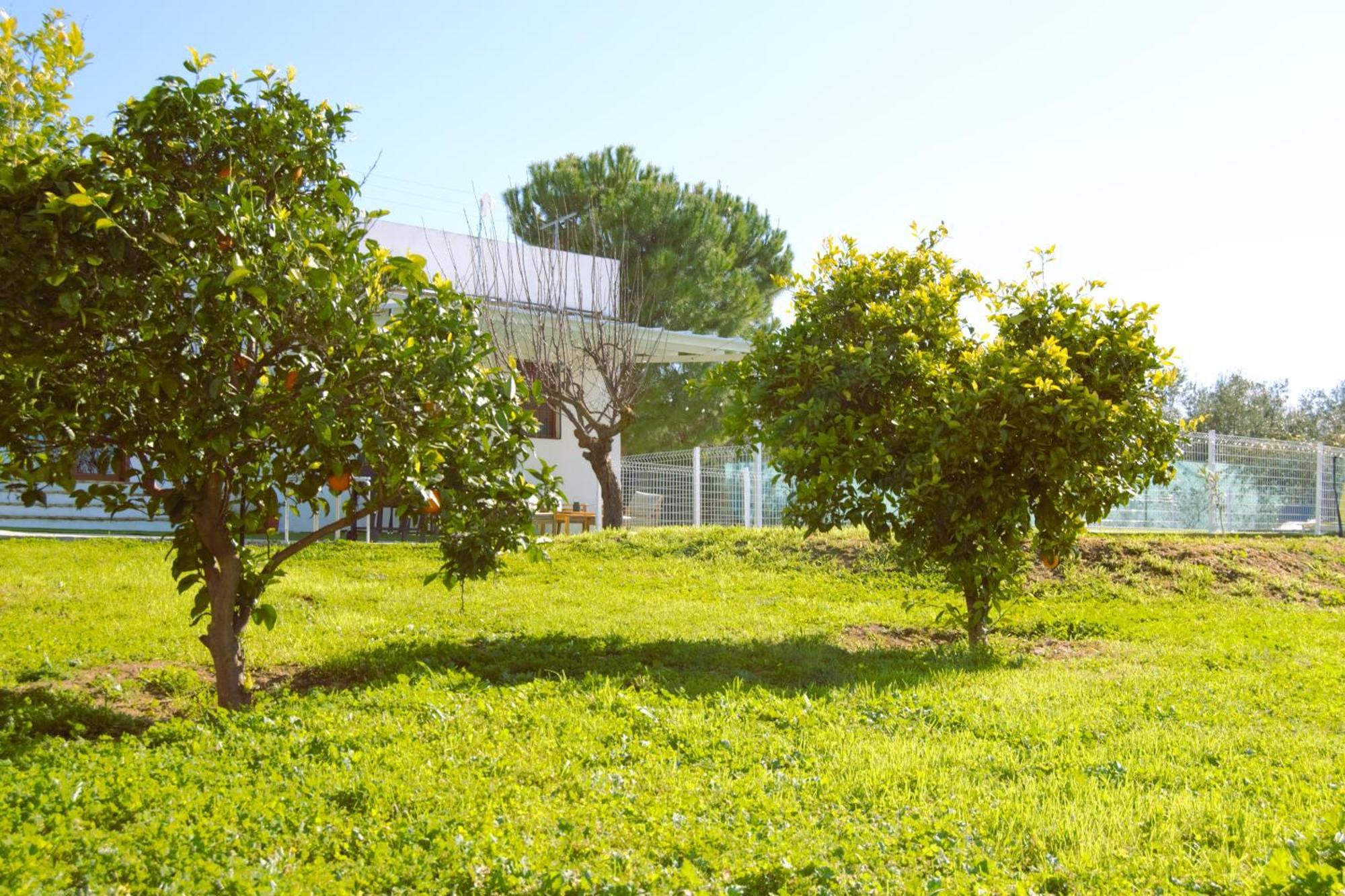 La Casa Del Carreron Villa Montilla Exteriör bild